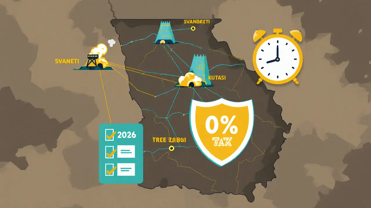 Geometric map of Georgia showing mining hubs, energy lines to dams, and a 0% tax shield over Tbilisi Free Zone.